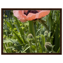 cdcd1847-0a2f-4529-93d4-035ab76573f6