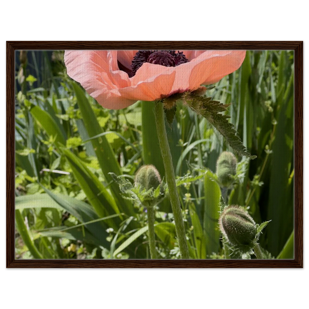 cdcd1847-0a2f-4529-93d4-035ab76573f6
