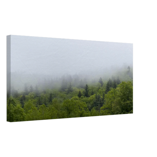 ce4e2ab7-8105-4a10-9ceb-d58977ea87f5
