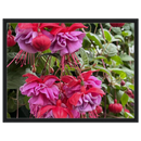 d0f72004-2a3f-4ce8-96c5-4efd3dcf5df8