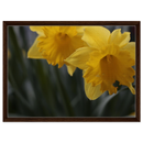 d1db1894-fce0-4403-a747-f638e72fc1bd