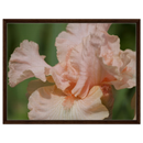d2b36ad5-5254-4f18-a783-930a9caef9b8