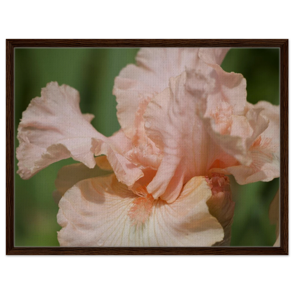 d2b36ad5-5254-4f18-a783-930a9caef9b8
