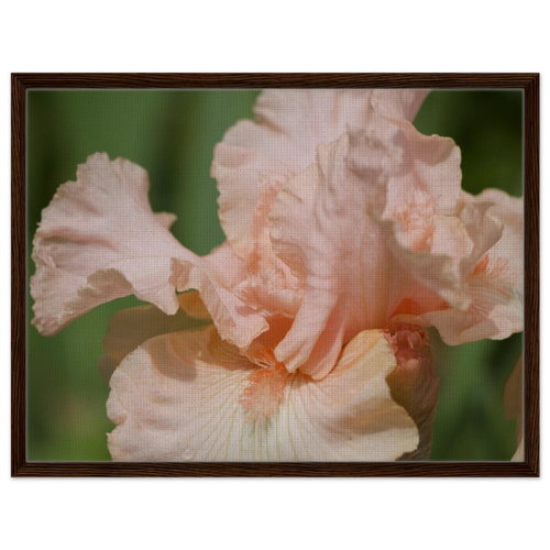 d2b36ad5-5254-4f18-a783-930a9caef9b8