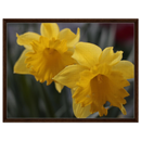d2bbec8e-edf9-4213-a526-adc9c6408e91