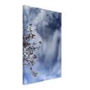 d3352e9f-538a-431a-8228-0a82c856df4b