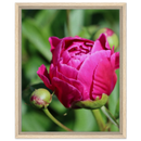 d349ae22-7133-41ad-af82-601cfc276512