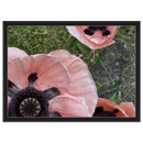 d355955b-45ca-4327-89b6-fb28bde2187a