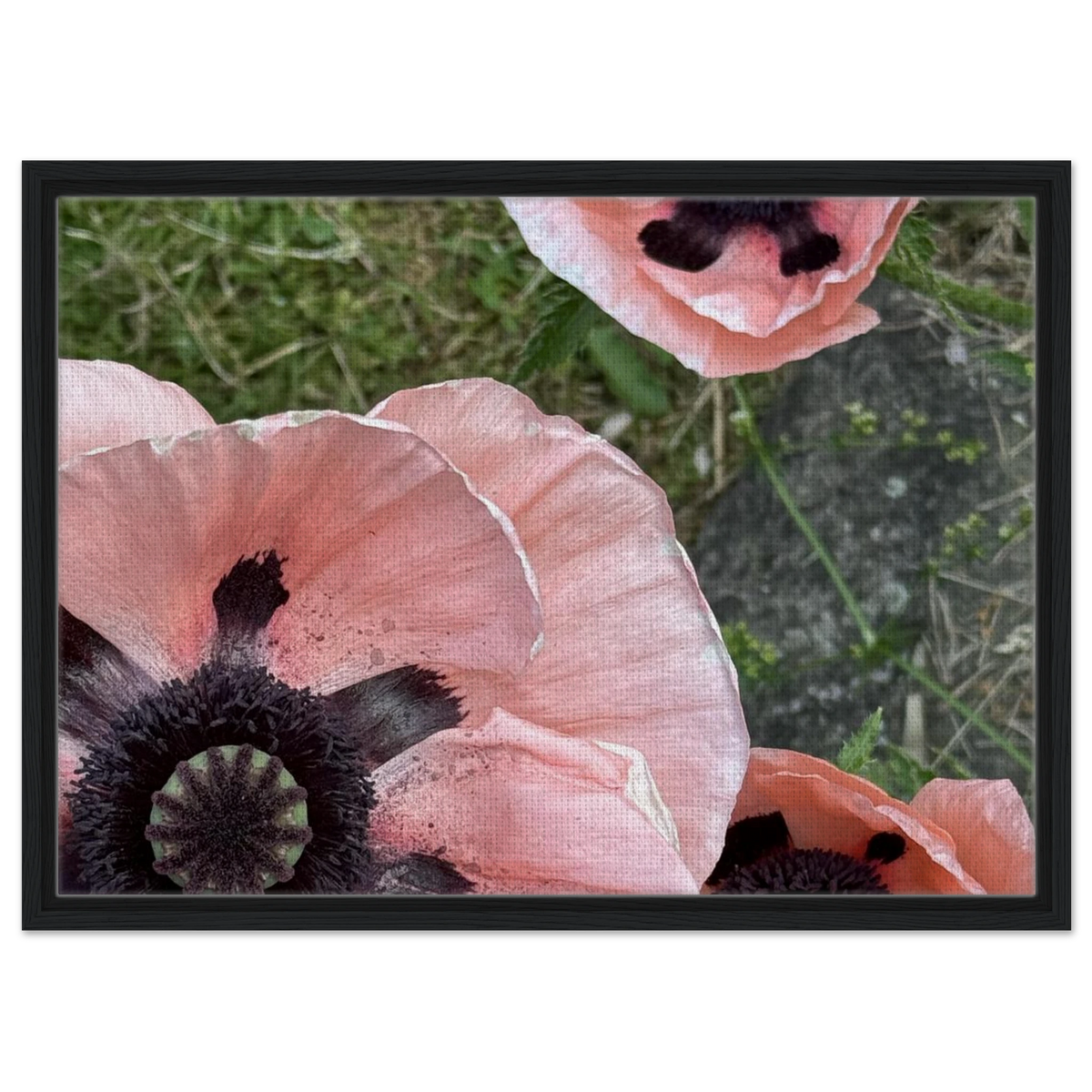 d355955b-45ca-4327-89b6-fb28bde2187a