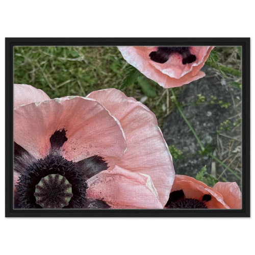 d355955b-45ca-4327-89b6-fb28bde2187a