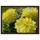 d6524a40-caf5-48f9-a260-96f48754404c