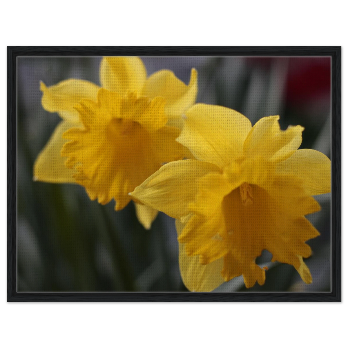 d79af0b1-eab1-4f02-b3d8-3fc5660829fa