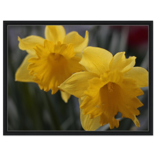 d79af0b1-eab1-4f02-b3d8-3fc5660829fa