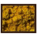 d7c08225-2e97-4cab-801b-d3dbfcc15a4b