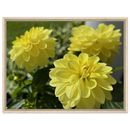 da0761ad-41a3-42c2-9f95-37f54eee3222
