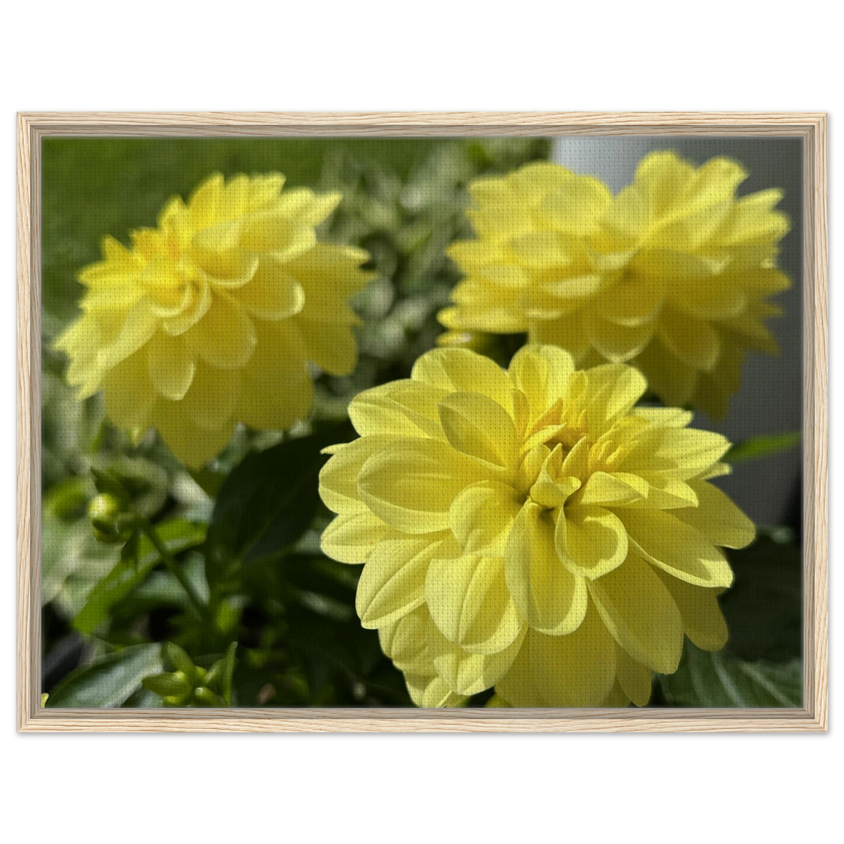 da0761ad-41a3-42c2-9f95-37f54eee3222