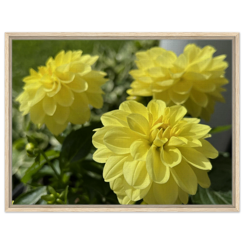 da0761ad-41a3-42c2-9f95-37f54eee3222