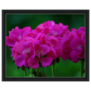 db132f83-b377-42fd-98c4-5ac836dd1072