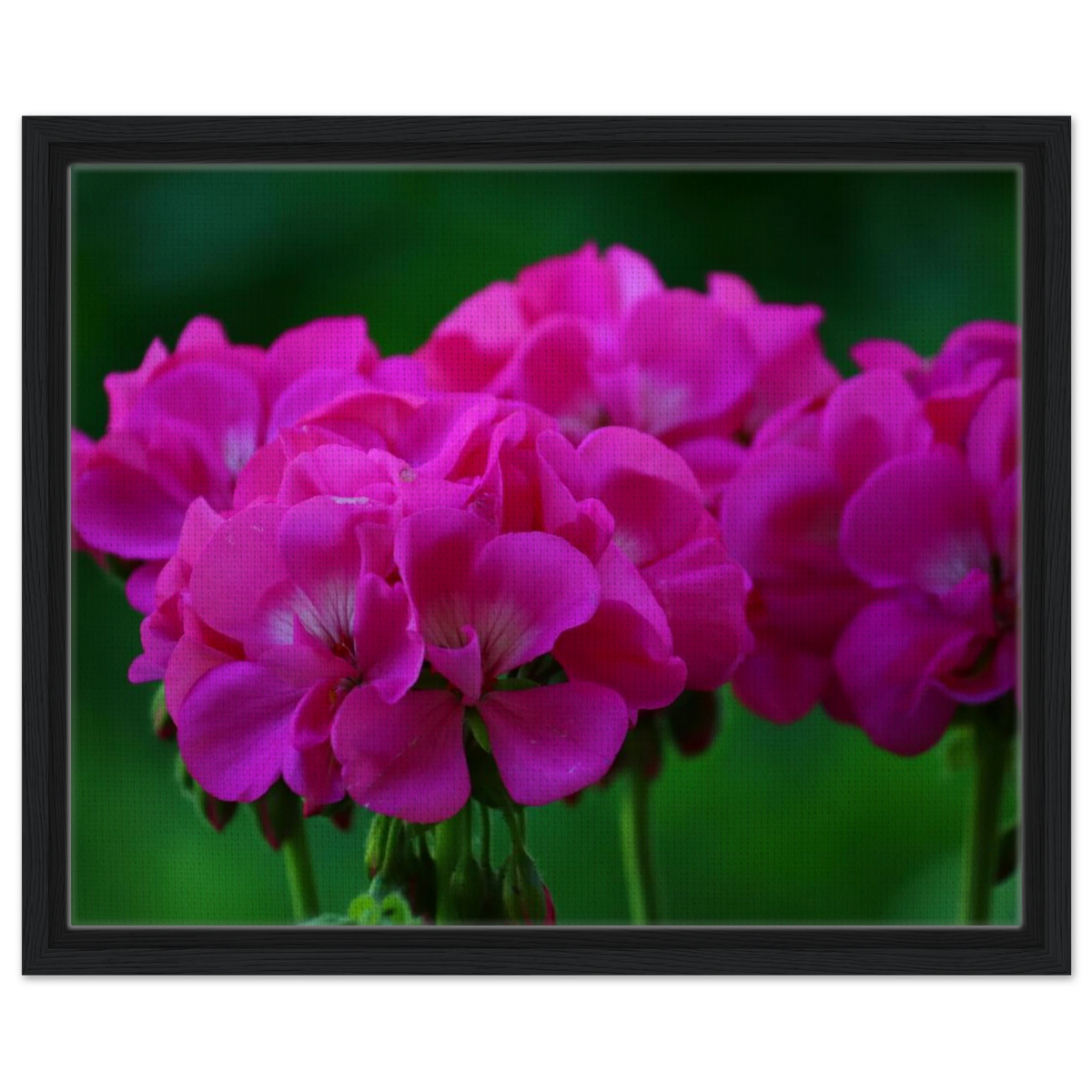 db132f83-b377-42fd-98c4-5ac836dd1072