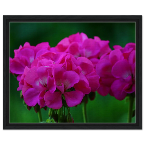 db132f83-b377-42fd-98c4-5ac836dd1072