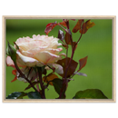 dbcd61a3-7167-4ffe-bd06-fcc0dd6da425