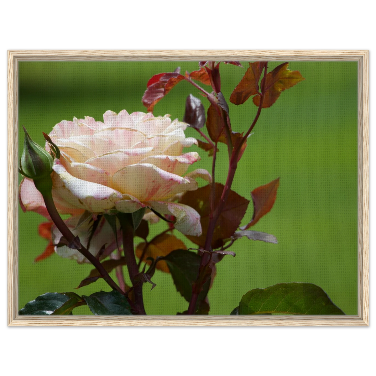 dbcd61a3-7167-4ffe-bd06-fcc0dd6da425