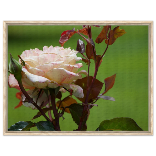 dbcd61a3-7167-4ffe-bd06-fcc0dd6da425