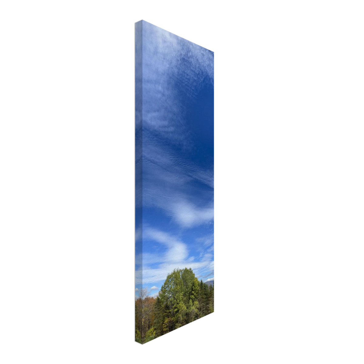 Full-length side view of autumn sky and treetop meadow canvas