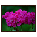 dd6e8ceb-fa79-4605-8c4b-623bd202ad0e