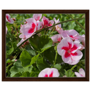 dd794c70-9153-46f1-b822-f955e49ee8b4