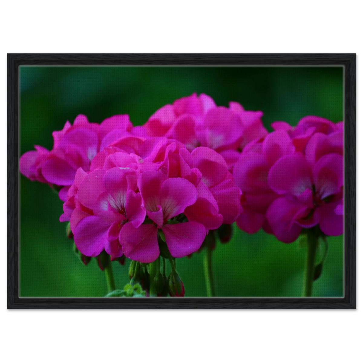 deb65e9b-2ccc-45d4-9253-1436c32651a2