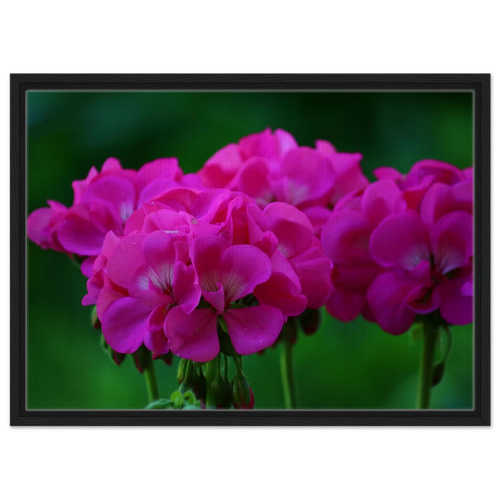 deb65e9b-2ccc-45d4-9253-1436c32651a2