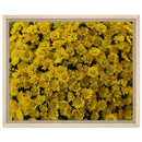 dedfed70-a5bf-40b6-ad06-1f1bcb312631