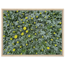 e1214c18-a32a-44f8-9871-cb74e34e9dcb
