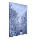Vertical side angle of canvas art featuring snow-covered forest and path