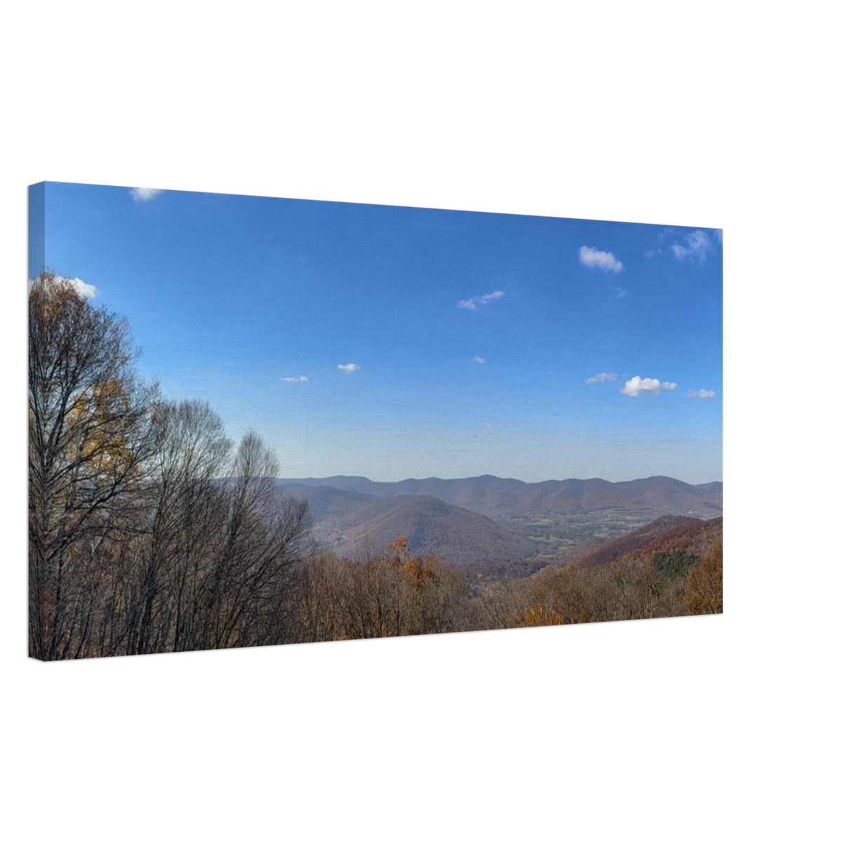 Detail view of fine art canvas print with fall colors and blue sky
