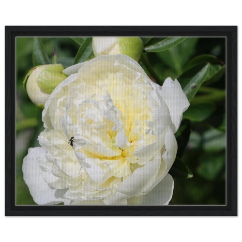 e999c1ed-b680-48e0-bdc9-313160019917