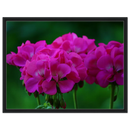 ea4a30fd-b0c4-4853-9e48-e8b8cc4aee56