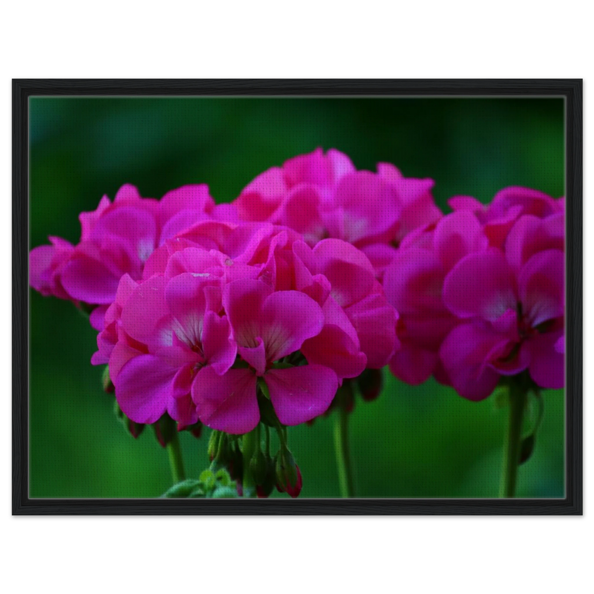 ea4a30fd-b0c4-4853-9e48-e8b8cc4aee56