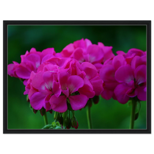 ea4a30fd-b0c4-4853-9e48-e8b8cc4aee56