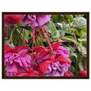 eb0c8ea4-e28c-45d6-ad65-a4fbf0870da8