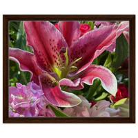 Dark wood frame