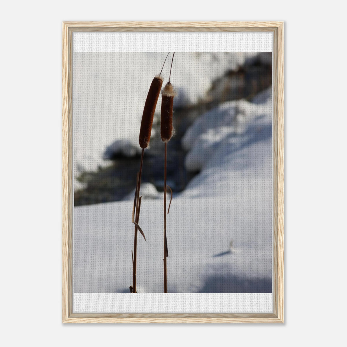 Winter Reeds: Framed Canvas Art with 3 Frame Colors & Multiple Sizes