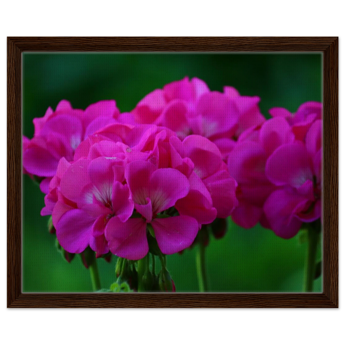 ee570e2c-bd12-441a-8979-e540f9d85628
