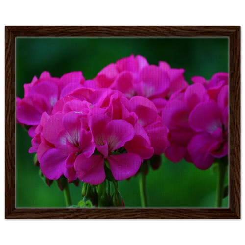 ee570e2c-bd12-441a-8979-e540f9d85628
