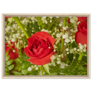 Framed canvas print showing a red rose with baby's breath in a light wood frame, wider aspect