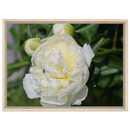 f40bfd84-e7f6-4a78-817f-acc3cdec197a