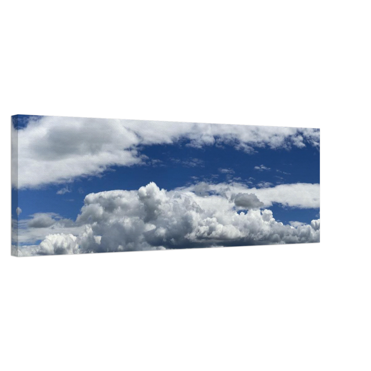 f492a2ea-5fdc-4507-ac73-5e47d9a97a9e