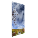 f7651caf-2bd2-4c0a-b688-fb0ed6962767