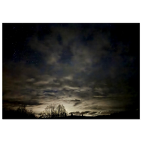 Night Sky Wood Wall Art